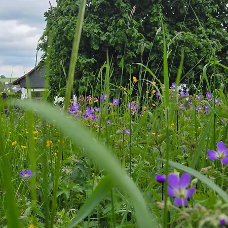 Lägenhet Sonnenberg Am Radweg Gedern